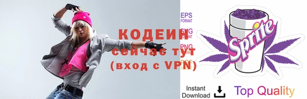 ПСИЛОЦИБИНОВЫЕ ГРИБЫ Рославль