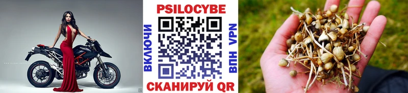 Галлюциногенные грибы прущие грибы  Судогда 