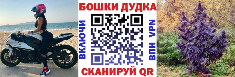 Каннабис план наркошоп Судогда